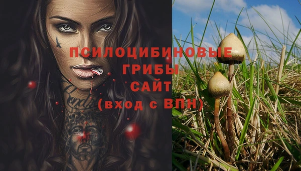 ALPHA PVP Алзамай