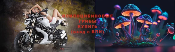 ALPHA PVP Алзамай